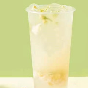 C02 Lichee Sleep Support